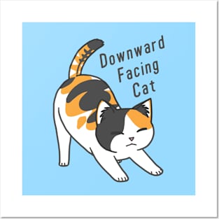 Downward Facing Cat Posters and Art